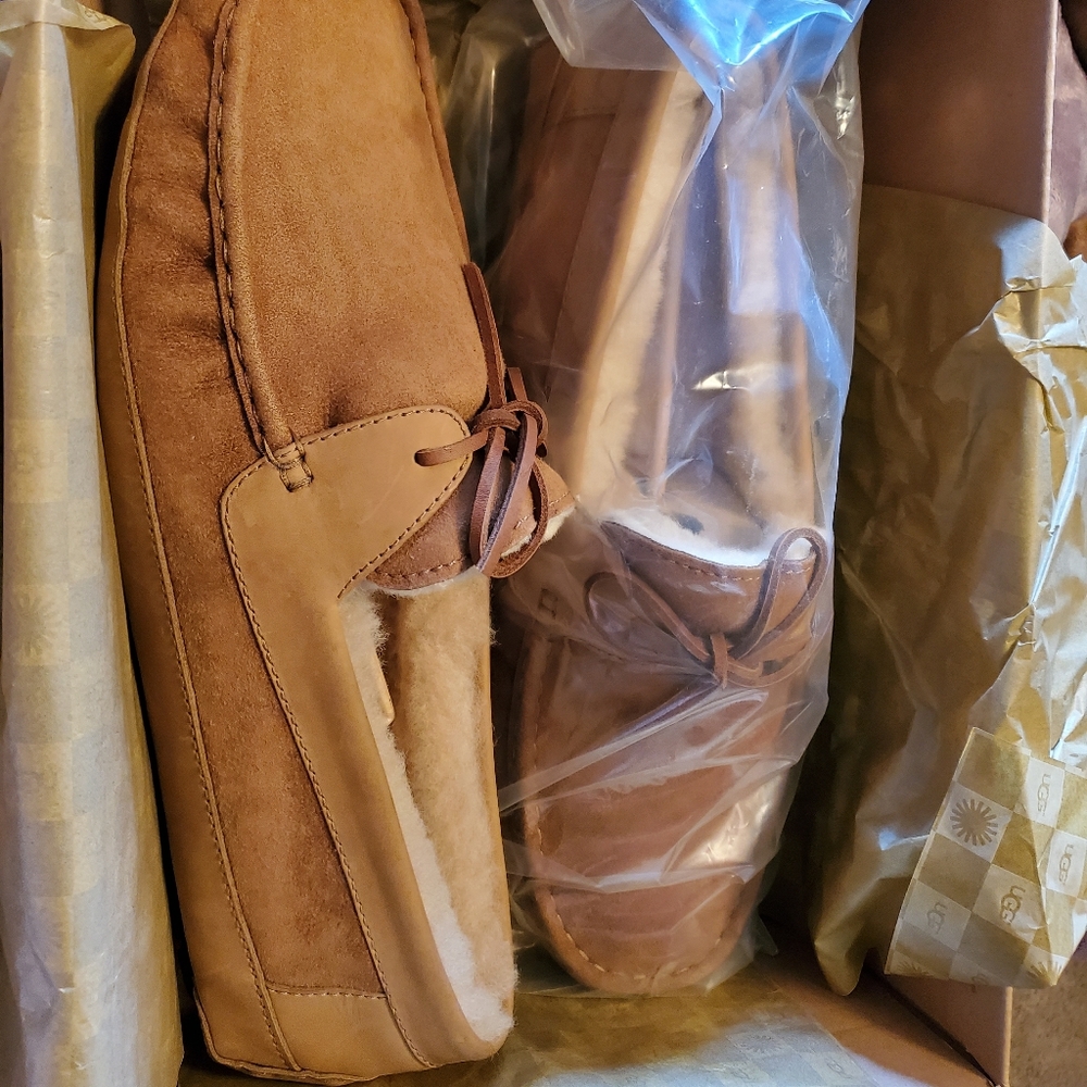 Ugg slippers
